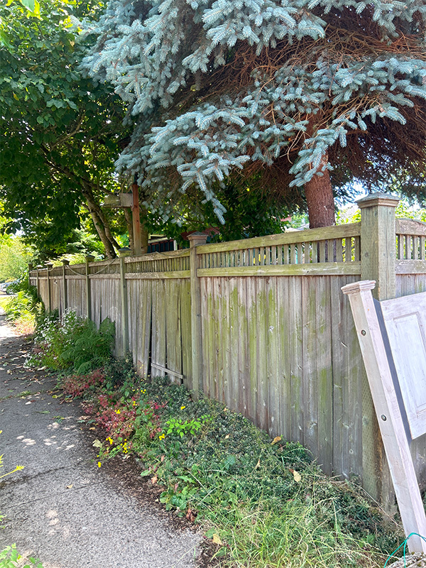 Tacoma Fence Replacement - Fence Replacement in Tacoma, Washington